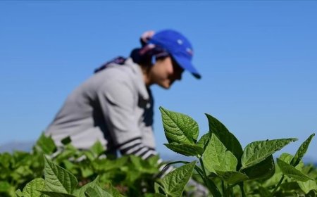 15 Ekim ne günü? (Dünya Kadın Çiftçiler Günü mesajları)