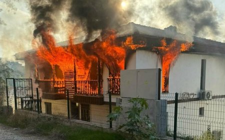 Muğla Gökova'yı birbirine katan saldırgan vuruldu: Evleri ateşe verdi, jandarmaları bıçakladı