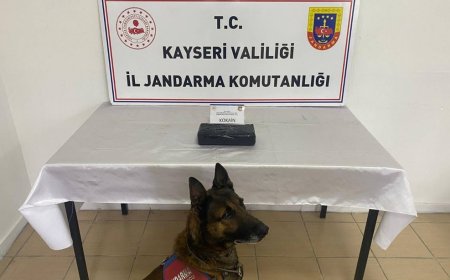 Kayseri'de uyuşturucu operasyonu