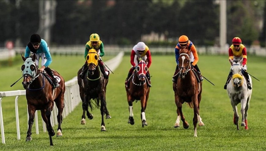 At yarışlarında Cumhuriyet ve Cumhurbaşkanlığı koşuları yapıldı