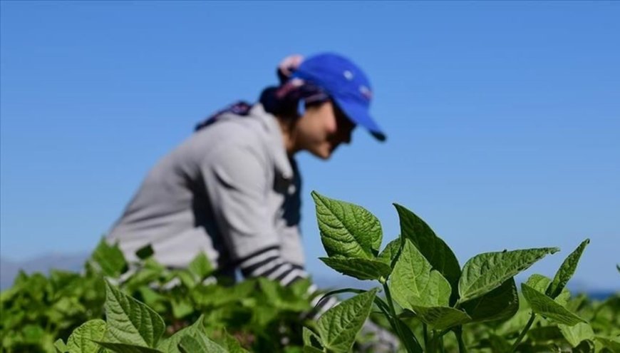 15 Ekim ne günü? (Dünya Kadın Çiftçiler Günü mesajları)