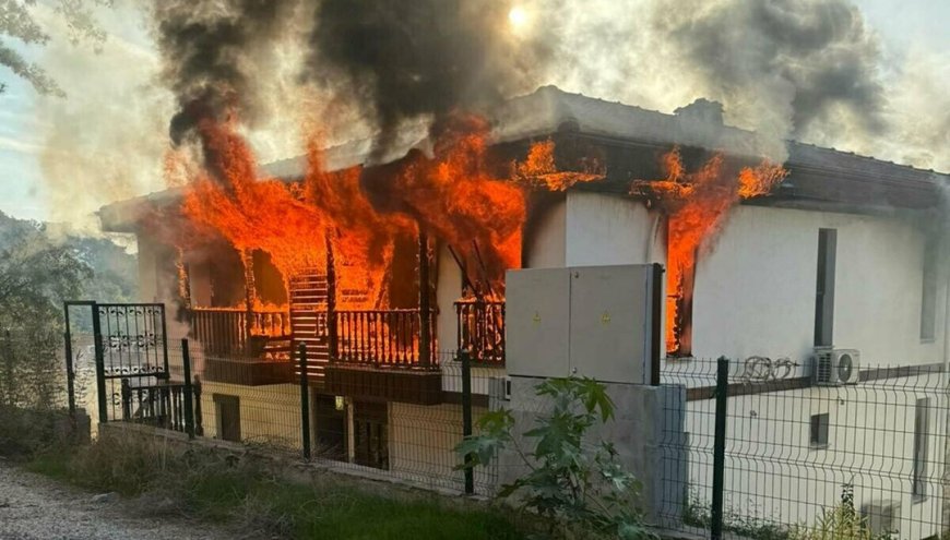 Muğla Gökova'yı birbirine katan saldırgan vuruldu: Evleri ateşe verdi, jandarmaları bıçakladı